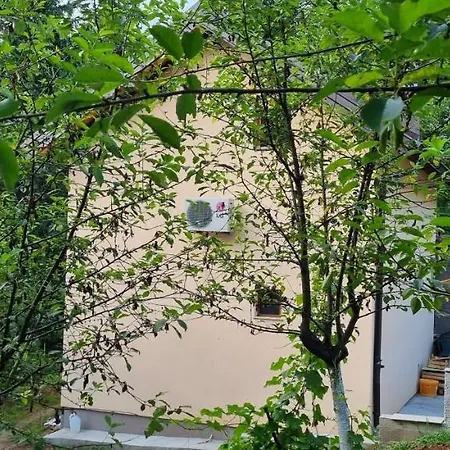 Saraj